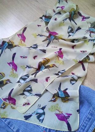 Легкий сонячний жіночий шарф пташки метелики/напівпрозорий шарфик5 фото