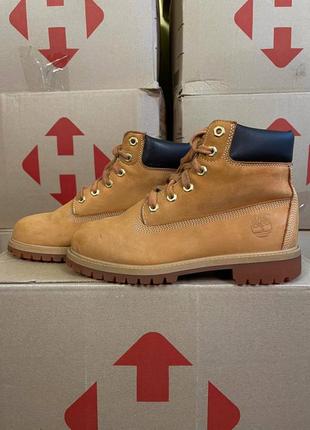 Жіночі шкіряні черевики , ботінки з утеплювачем timberland high primaloft 200