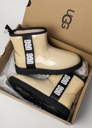 Уггі уги ugg classic clear mini оригінал з сша usa