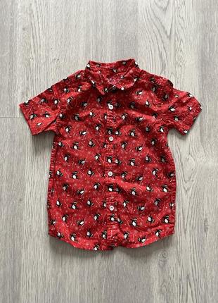 Крута новорічна сорочка пінгвін новорічний светр primark 4-5 років