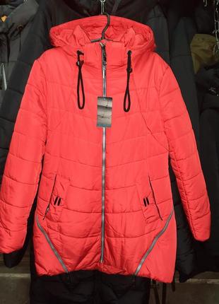 Курточка на синтепоні зимова 48,50р.1 фото