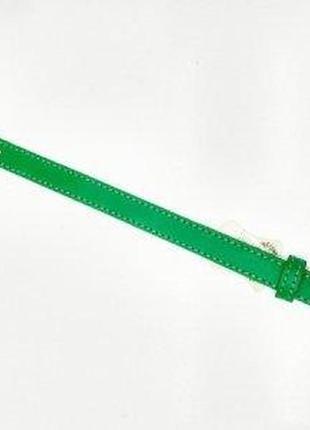 Кожаный ошейник для животных "весна", ширина 14 мм. длина 23-28см  зеленый
