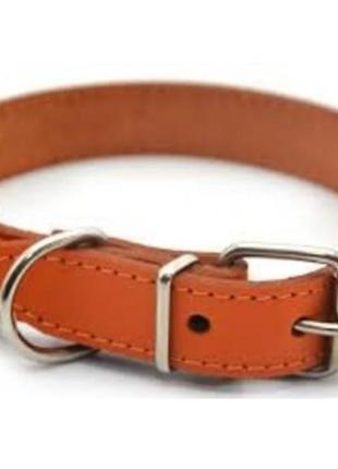 Шкіряний нашийник для собак "весна" ширина 12 мм, довжина 20-25см коричневий