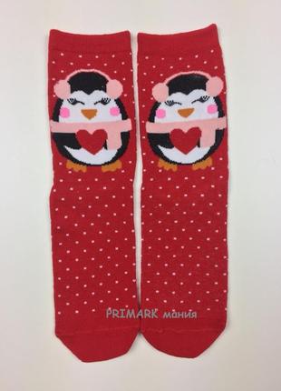 Жіночі шкарпетки поштучно primark