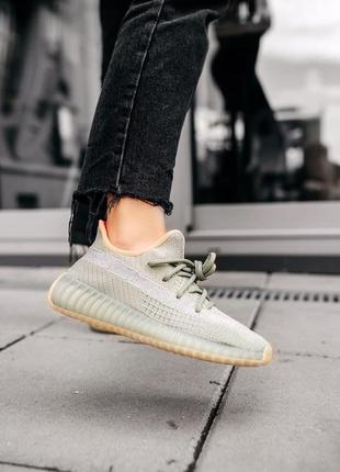 Жіночі кросівки adidas yeezy  женские кроссовки адидас3 фото