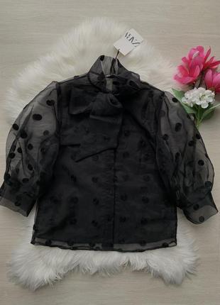 Блуза zara 2