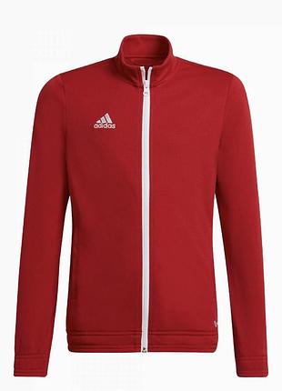 Олімпійка adidas entrada 22