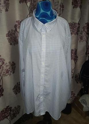 Jasper conran рубашка большого размера