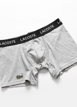 Набір трусів лакоста lacoste боксери чоловічі, набір 4шт без коробки. розмір l люкс якість fellix7 фото