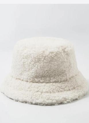 Панама тедді