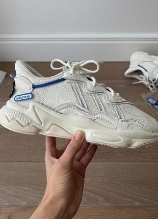 Кросівки adidas оригінал, абсолютно нові