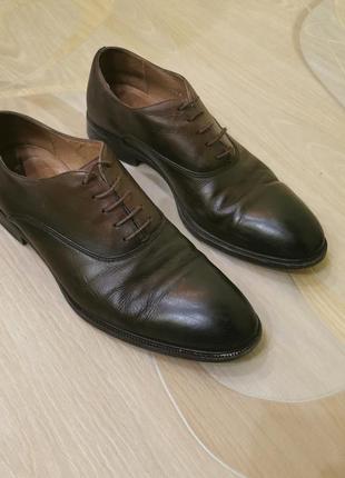 Чоловічі шкіряні туфлі польського бренду vistula