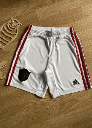 Спортивные шорты manchester united