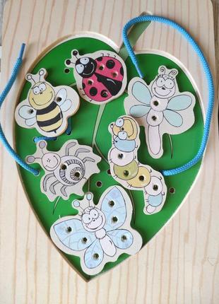 Деревянная шнуровка насекомые