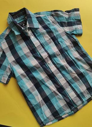 Сорочка у клітинку