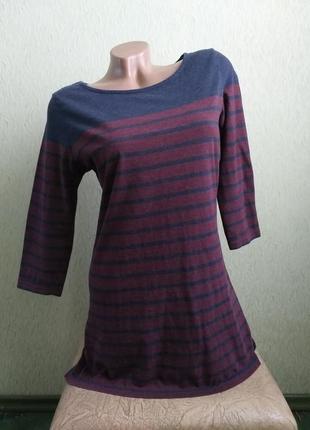 Лонгслив в полоску. туника. теплая футболка рукава 3/4. марсала, синий.