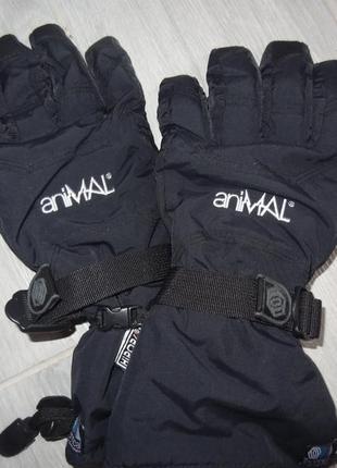 Спортивні перчатки animal2 фото