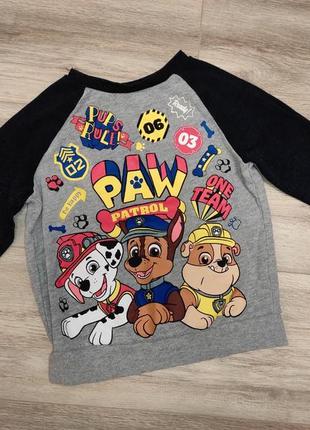 Свитшот щенячий патруль мальчику