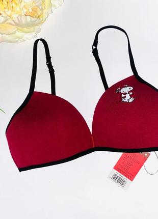 Ніжний бюстик на тонкому паралоні в кольорі бордо //розмір: 158/164 //бренд: lupilu