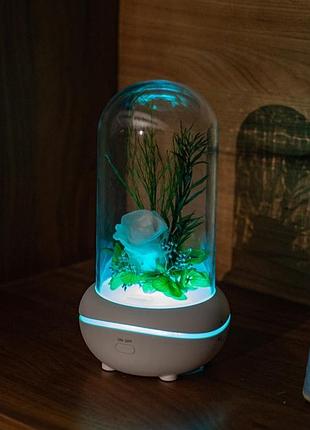 Аромалампа-нічник з живою білою трояндою в колбі та led підсвічуванням (різні кольори) для ефірних олій на подарунок