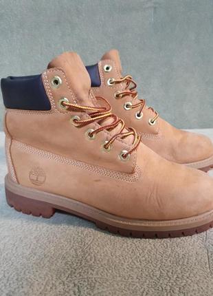 Ботинки  timberland 3