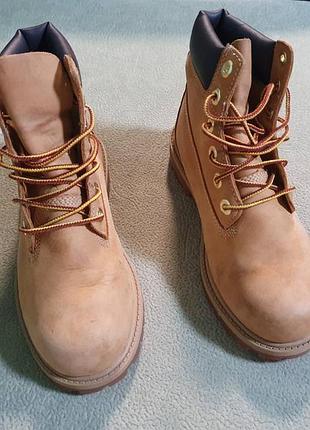 Ботинки  timberland 2
