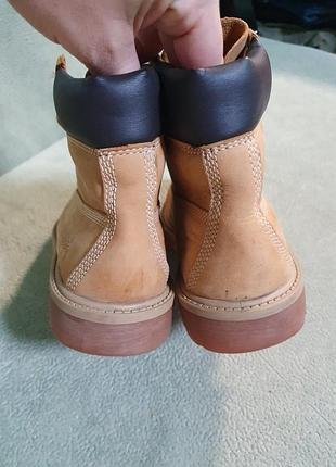 Ботинки  timberland 6