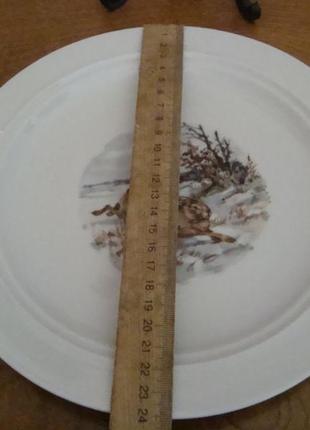 Антикварная тарелка - блюдо заяц охота фарфор бавария германия №1059 )4 фото