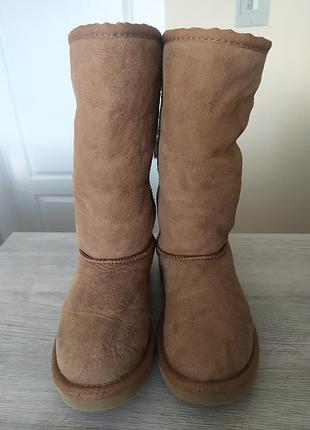 Сапоги ugg australia 31