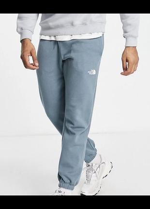 Теплі флісові штани the north face box nse logo-print