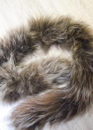 Галявина з єнота на капюшон з білої підстібкою