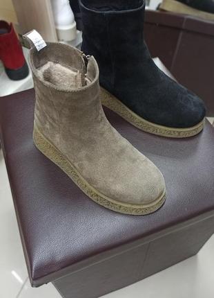 Замшеві уггі на платформі