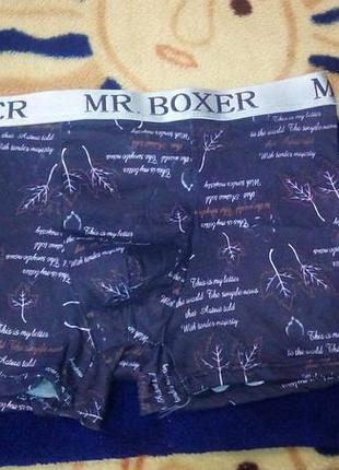 Труси-шорти боксери