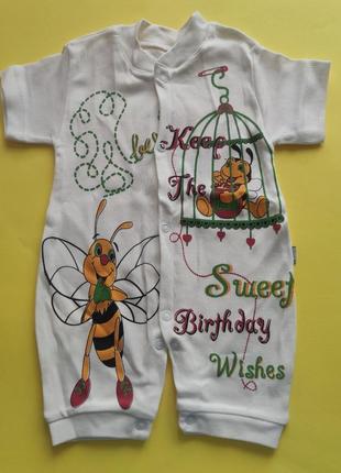 Пісочник новий