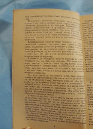 Привіт молодіжні юрій-кенгурук книга психологія6 фото