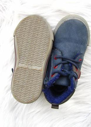 Стильні черевики утеплені кеди charlie & friend matalan5 фото