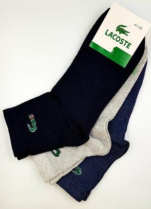 Носки+копилка, набор lacoste2 фото