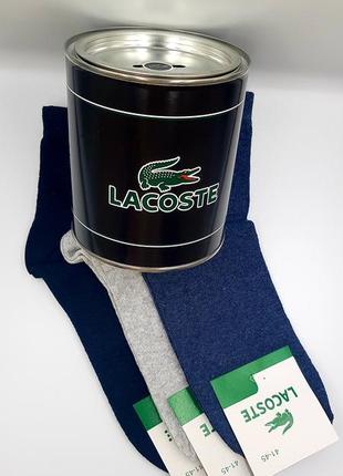 Носки+копилка, набор lacoste