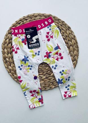 Лосины штаны