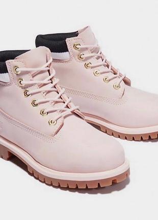 Шкіряні черевики *timberland premium waterproof*