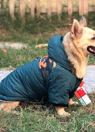 Одежда для собак. зимняя курточка с капюшоном для собак и котов, водонепроницаемая. зеленая n05108 фото