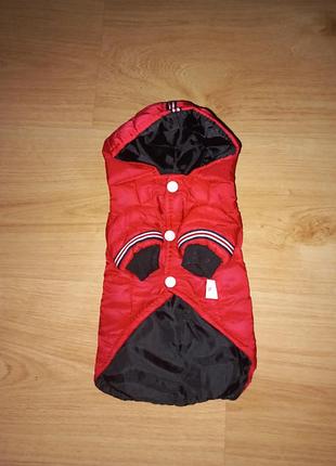 Одяг курточка  для маленької собачки