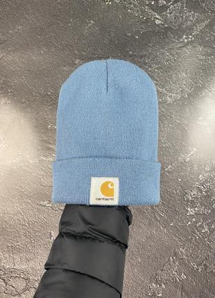 Чоловіча оригінальна шапка carhartt nike