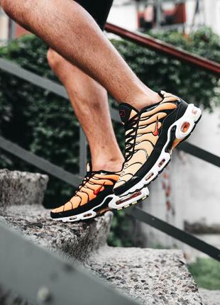 Nike air max tn requin cheap