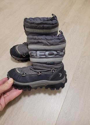 Сапожки geox