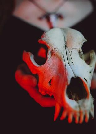 Кулон череп барана ручної роботи з ланцюжком у подарунок 3