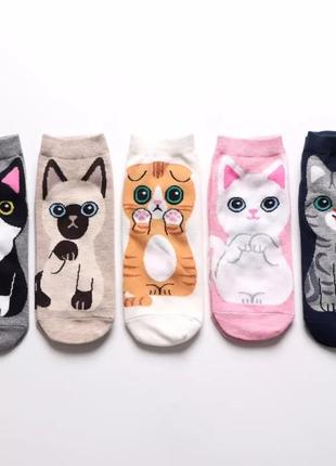 Носочки с кошечкой носки с котятами с котами набор носков с котиками2 фото
