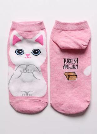 Носочки с кошечкой носки с котятами с котами набор носков с котиками4 фото