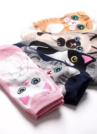 Носочки с кошечкой носки с котятами с котами набор носков с котиками1 фото