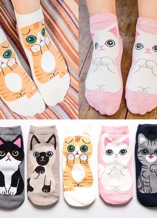 Носочки с кошечкой носки с котятами с котами набор носков с котиками3 фото